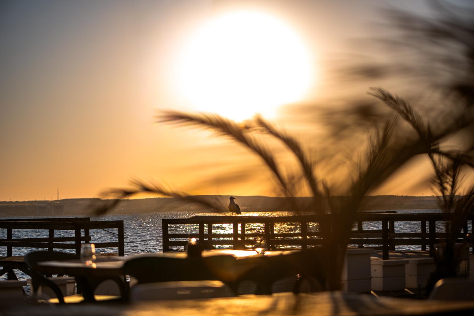 Through the Lens