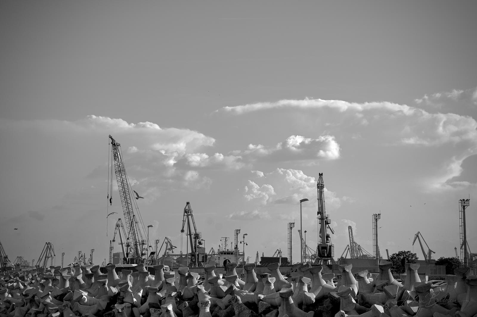 Black & White