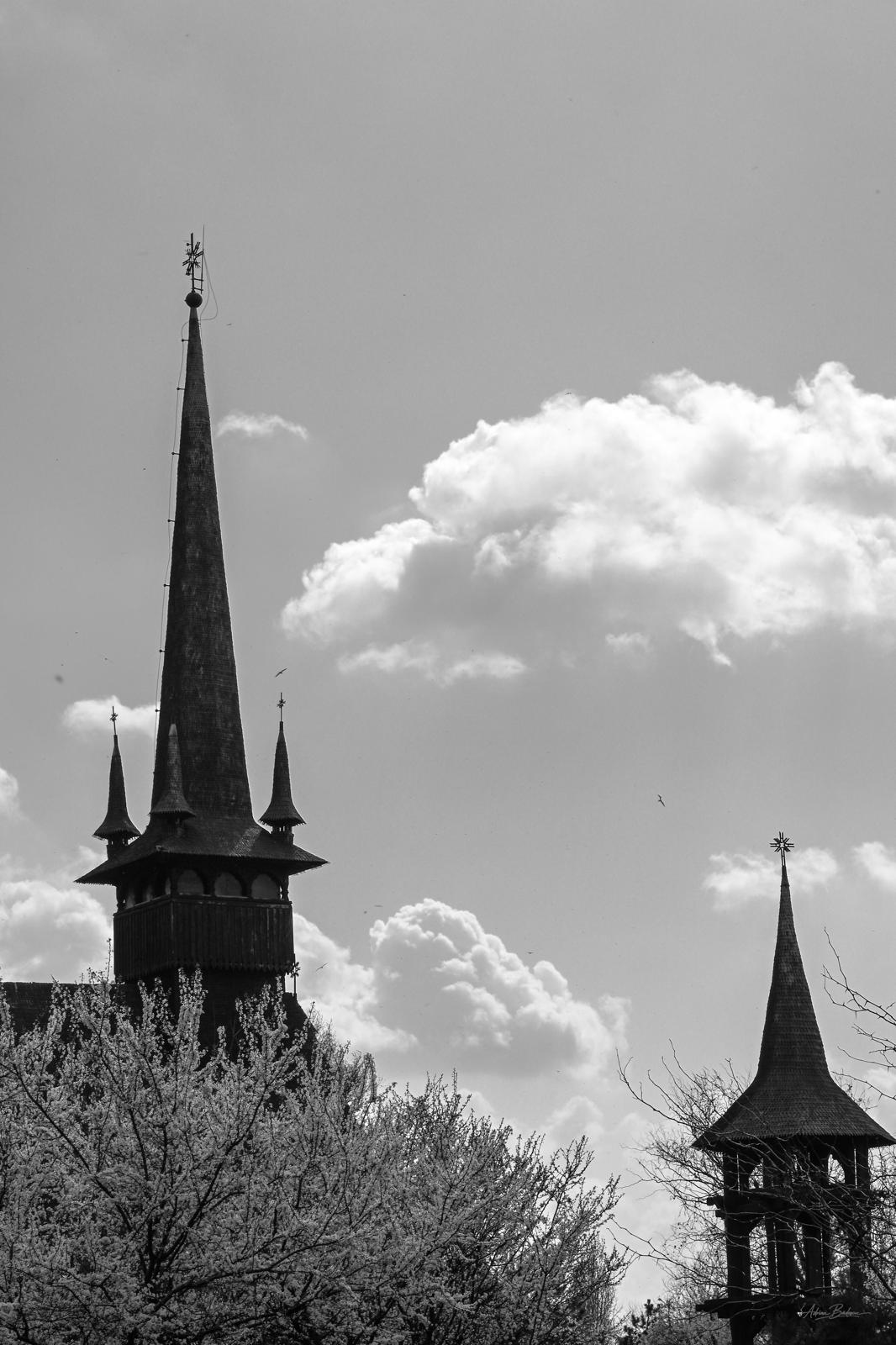 Black & White